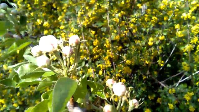 Скоро весна 😉 смотреть онлайн