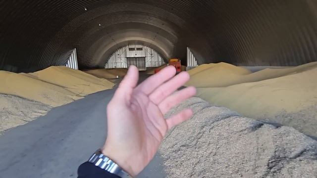 СЕКРЕТЫ СТРОИТЕЛЬСТВА АНГАРА ДЛЯ ХРАНЕНИЯ ЗЕРНА. Правильный склад, который прослужит дольше смотреть онлайн