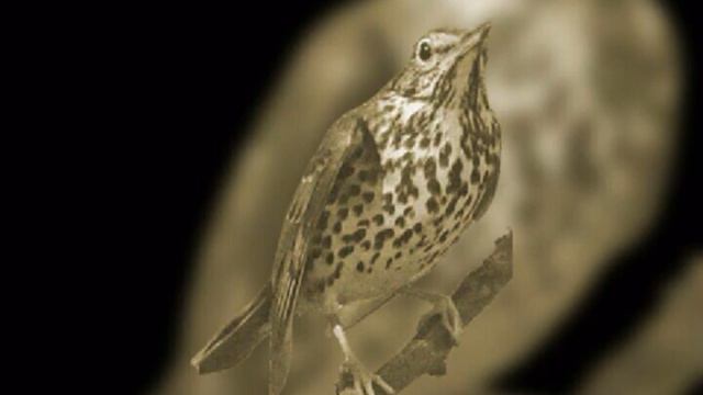 3.2 смотреть онлайн