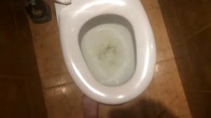 КАКАШКА ОТЛИЧНО СМЫЛАСЬ В УНИТАЗЕ