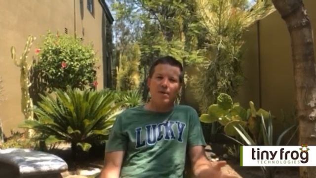 Selecting a WordPress Development Team смотреть онлайн