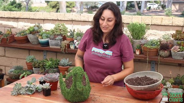 Succulent Craft Kit Guide: Succulent Swan смотреть онлайн