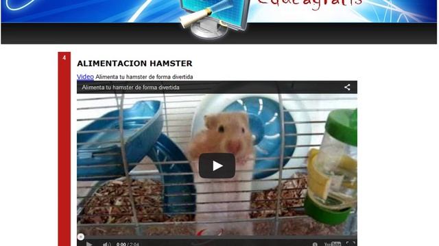 Curso sobre hamster 2016 смотреть онлайн