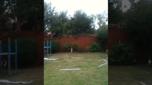 My rc track with my new bright buggy смотреть онлайн
