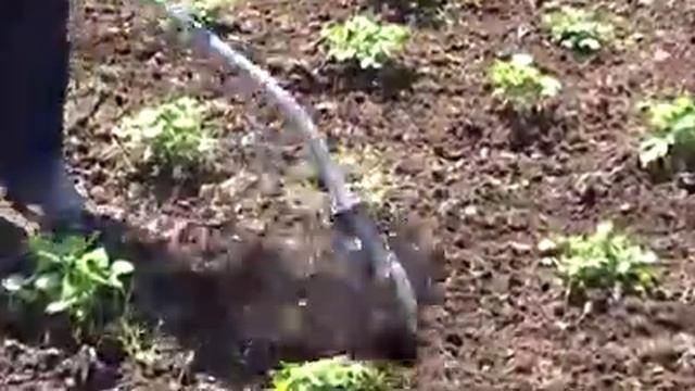 Косилка бензиновая = культиватор смотреть онлайн