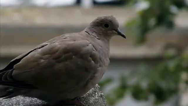 Photos taken with Fujifilm Finepix S1500 смотреть онлайн