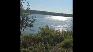 рыбалка в барнауле август протока бобровка