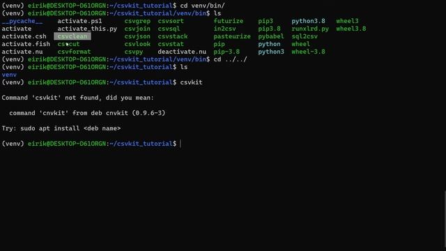 CSVkit Tutorial 1 - Setup and the Excel Killer in2csv смотреть онлайн