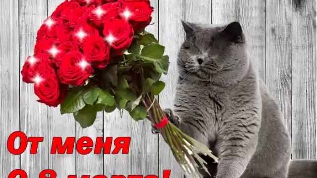 с 8 марта все девочки