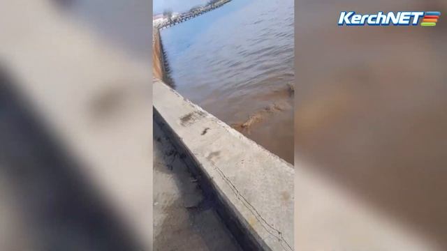 С набережной в море сбрасывается грязная вода смотреть онлайн