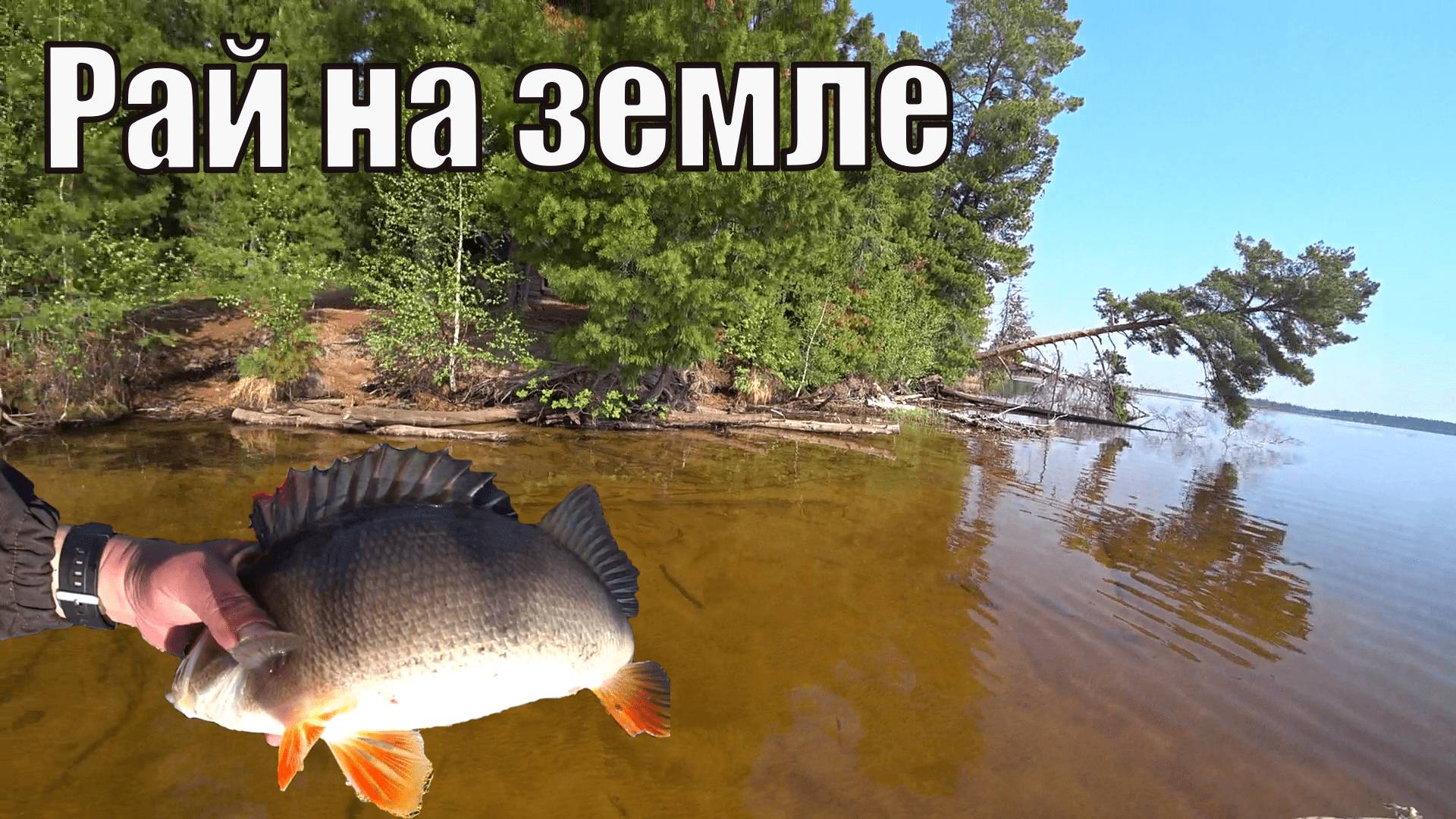 Забросили в тайгу ХМАО - Югры. Одного. Часть 3. Рай на земле. смотреть онлайн