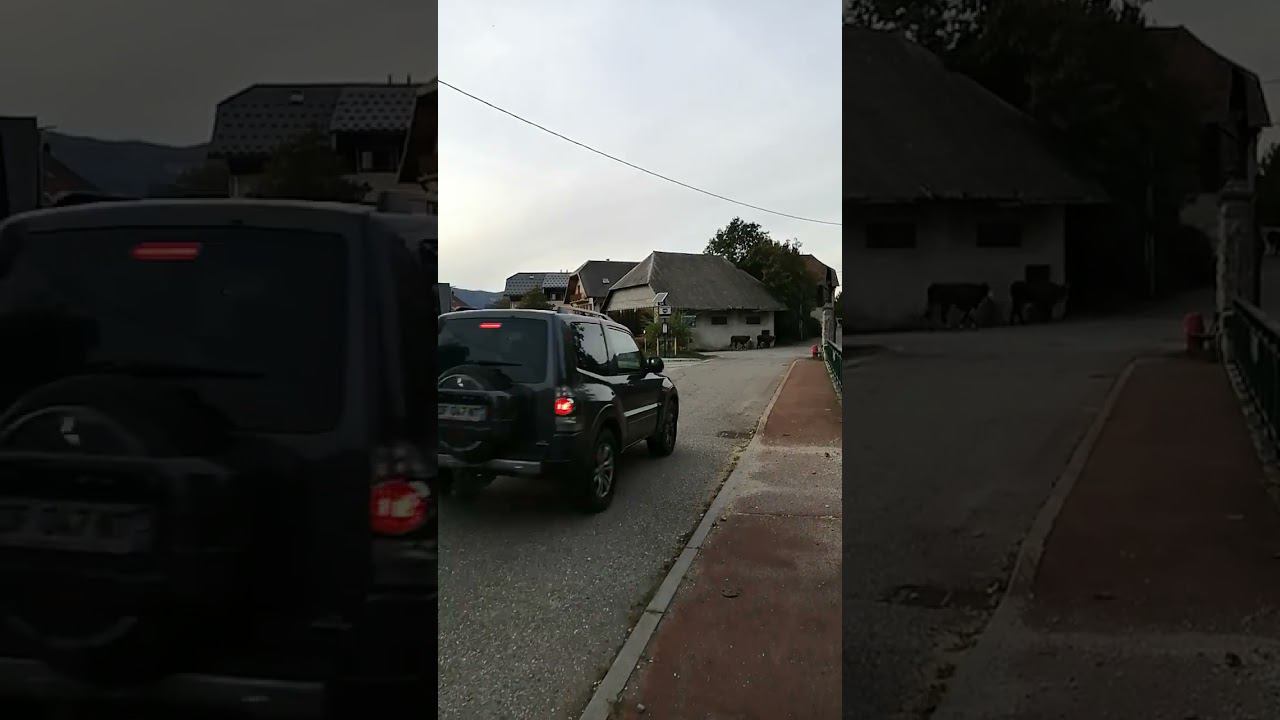 Французские скотины #европа смотреть онлайн