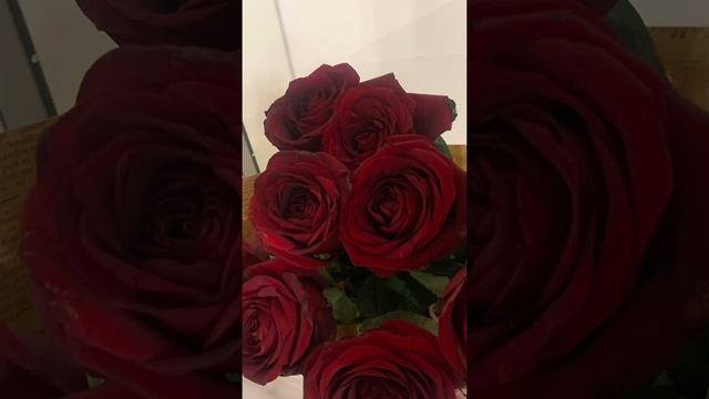 Цветы на день рождения, СПАСИБО! 10 декабря 2020 г. Алматы смотреть онлайн