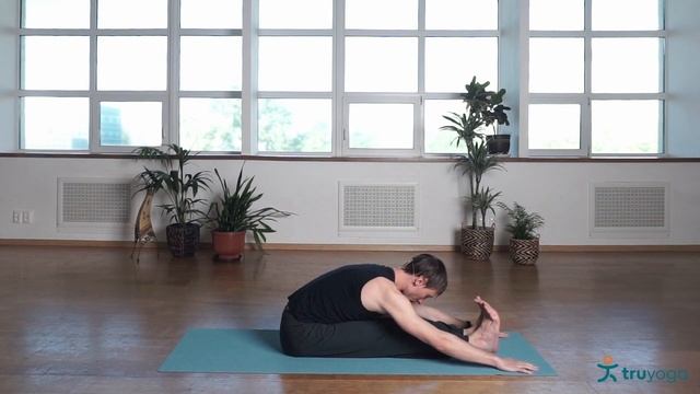 Йога, асаны, наклон корпуса сидя к прямым ногам, пашчимоттанасана смотреть онлайн