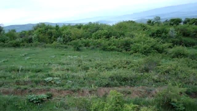 нагонка гончих MOV00776 смотреть онлайн