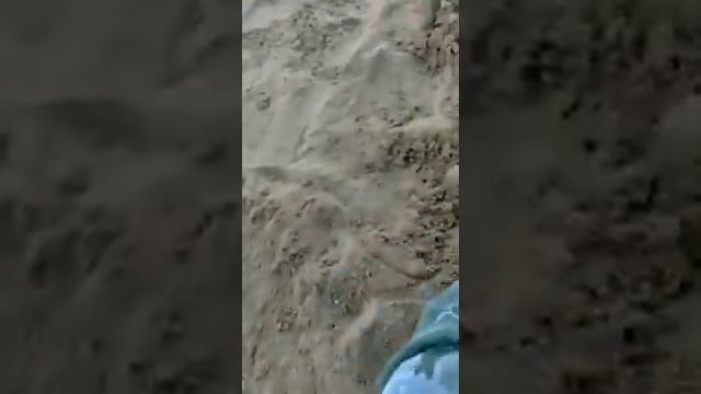 меня закопали заживо смотреть онлайн