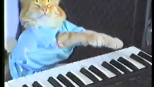 play him off keyboard cat skater смотреть онлайн