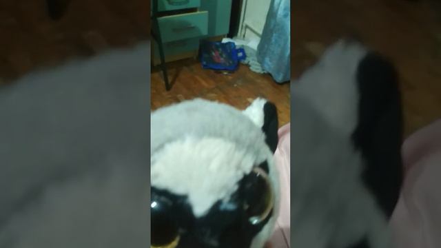 называется пока родители не называется пока родителей нету дома Я буду делать бутерброд смотреть онлайн