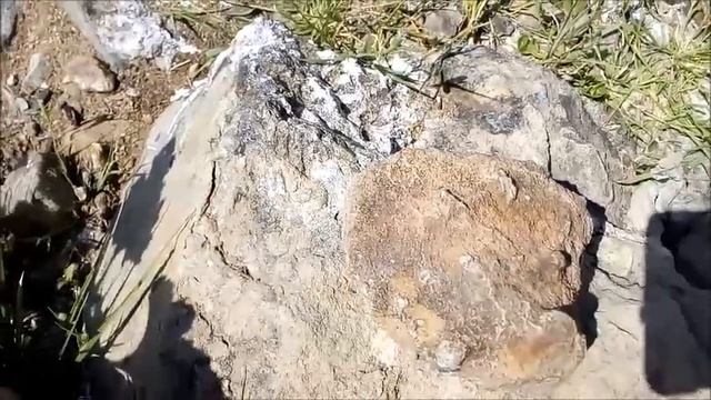 Фосфориты и кремнеземы отложений древнего океана Тетис возрастом 55 миллионов лет в Волгограде 海洋特提 смотреть онлайн