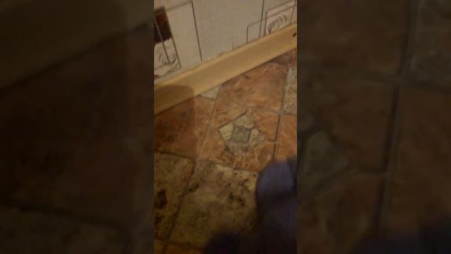варежка инволвер смотреть онлайн