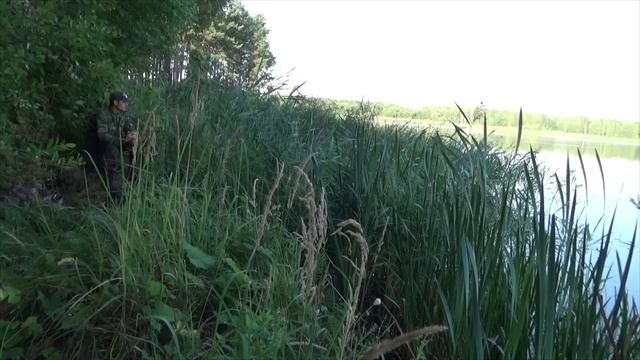 Вытащил огромную рыбину на удочку и с помощью САПОГА! Рыбалка на поплавок с берега на линя! 30 сер смотреть онлайн