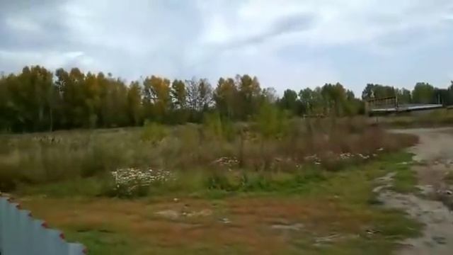 ХВОСТИКИ - ПОМОГАЮТ - КОПАТЬ - КАРТОШКУ? смотреть онлайн