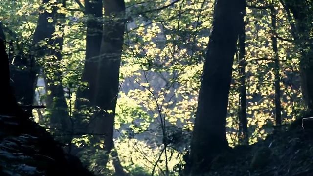 Canon XA10 Sunshine смотреть онлайн