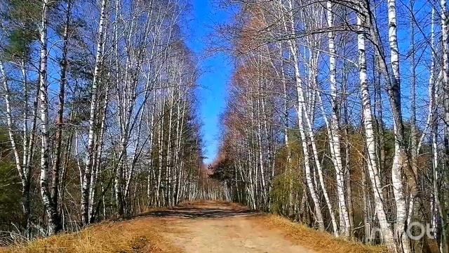 Мещерский национальный парк. Заповедник. Рязанская область смотреть онлайн