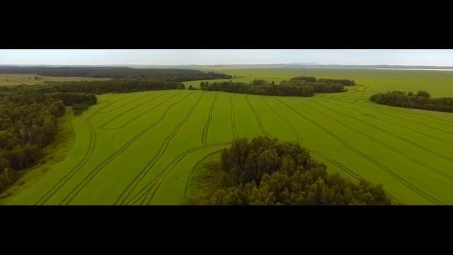 Петропавл қаласының табиғаты смотреть онлайн