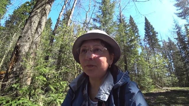 В пермских лесах 6 мая 2020. Весна в лесу. смотреть онлайн