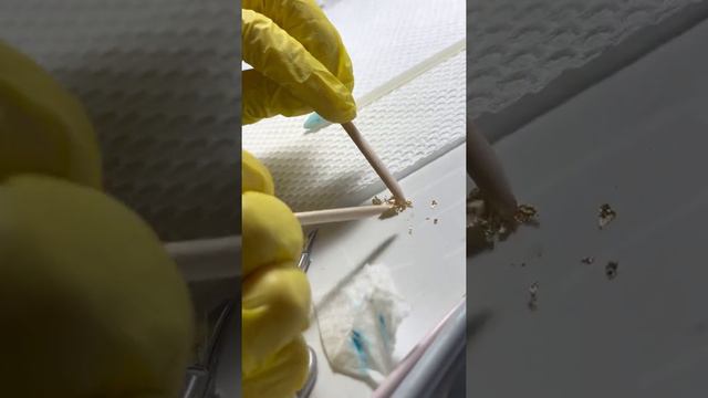 Весенний дизайн ногтей 2022 смотреть онлайн