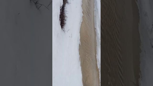 Мой день|влооог|котики|лужа или речка?| смотреть онлайн