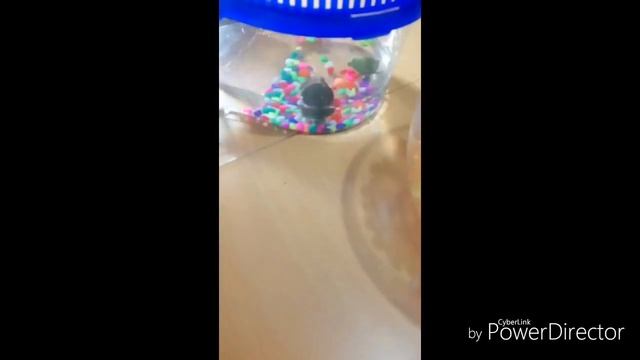 Влог/ моя новая стрижка/показываем черепашку/Как назвать мою? смотреть онлайн