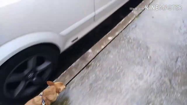 КРАСНОДАР ПОГОДА 09.12.2019 смотреть онлайн