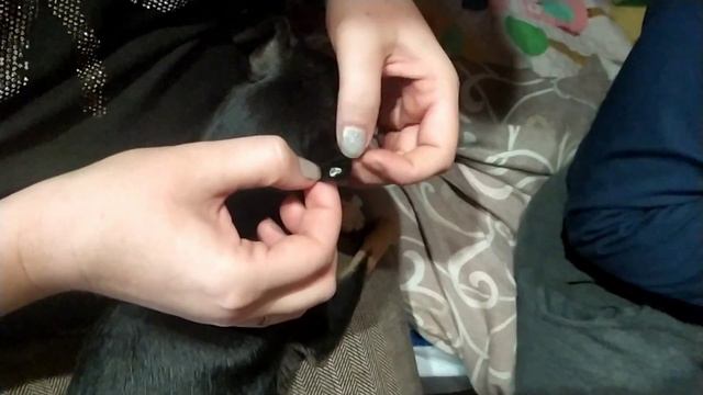 У моей бабушки 80-ти летие. Нору не пустили за стол. смотреть онлайн