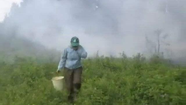 Когда зацвел шиповник смотреть онлайн