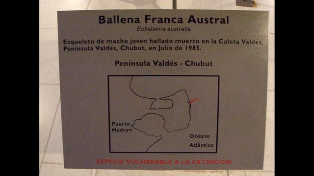 Peninsula Valdes Visitor Center, Valdes Peninsula, Chubut Province, Argentina, South America смотреть онлайн