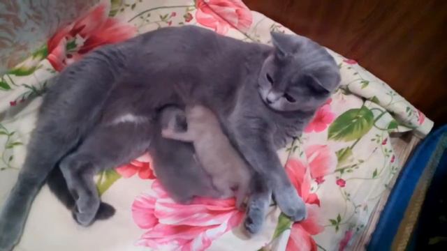 А ты кто такой ? смотреть онлайн