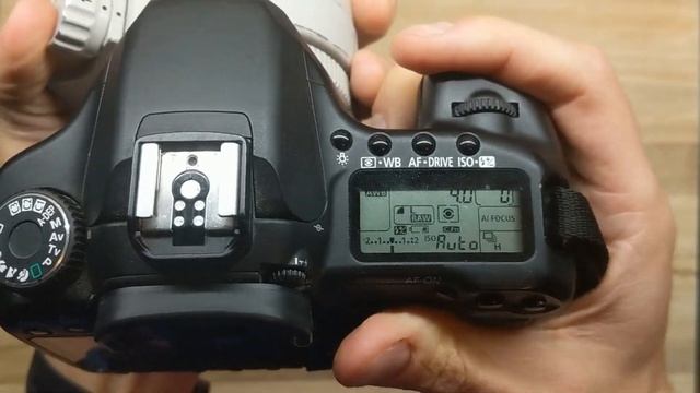Canon EF 300mm F4 L Lens On Canon 40D DSLR - Pro Wildlife Camera Setup (From a Decade Ago) смотреть онлайн