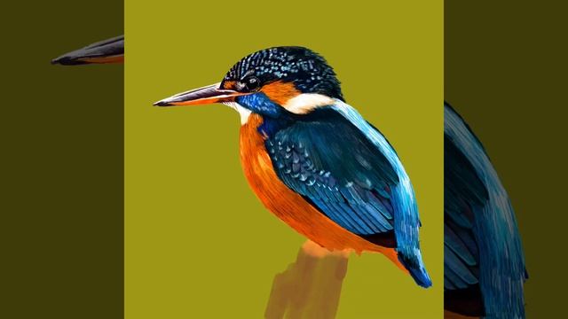 Adobe Fresco Kingfisher Timelapse смотреть онлайн