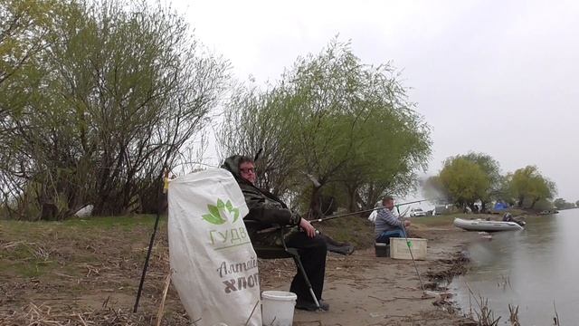 Вобла 2021 ход воблы