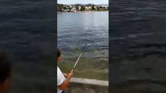 Рыбалка и отдых на Бухтарминском водохранилище. смотреть онлайн