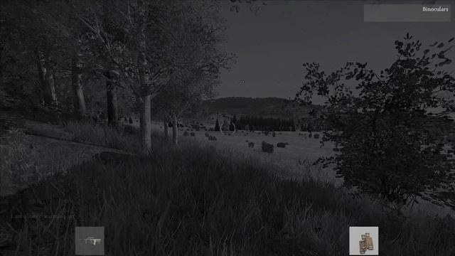 Случайная ночная встреча в DayZ SA смотреть онлайн