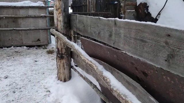 Советский тяжеловоз Ричард 9 месяцев смотреть онлайн