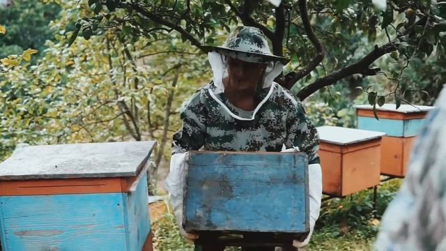 Пасека и каштановый мед из Мтирала парк Батуми - лето в субтропиках и оздоровление. смотреть онлайн