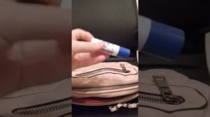 Что в моей сумке?/что я беру с собой на прогулку? /