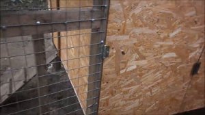 Курятник на даче своими руками - это просто.