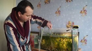 Как чистить аквариум, сифонить дно. Урок №12.