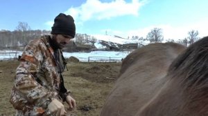В деревне на Алтае. СЕМЬЯ ФЕТИСТОВЫХ
