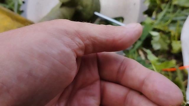 Несколько советов по работе с кусторезом.Берегите себя! смотреть онлайн